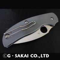 C123GPGY SAGE 1 COOL GRAY MAXAMET【特価】
