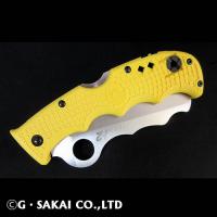 C79PSYL アシストソルト　H-2 【30%OFF】